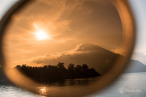 Bamboo Sunglasses