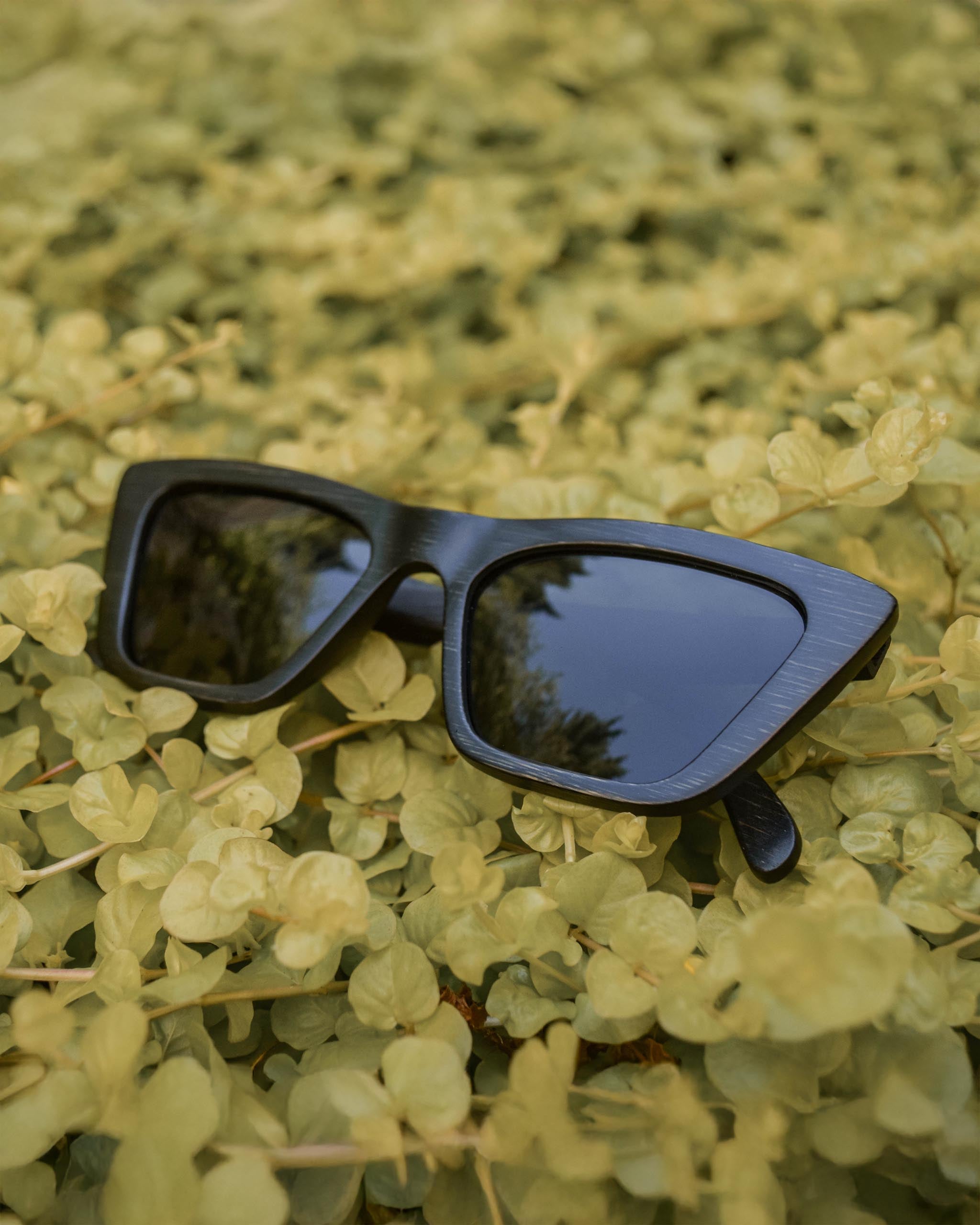 banner-image