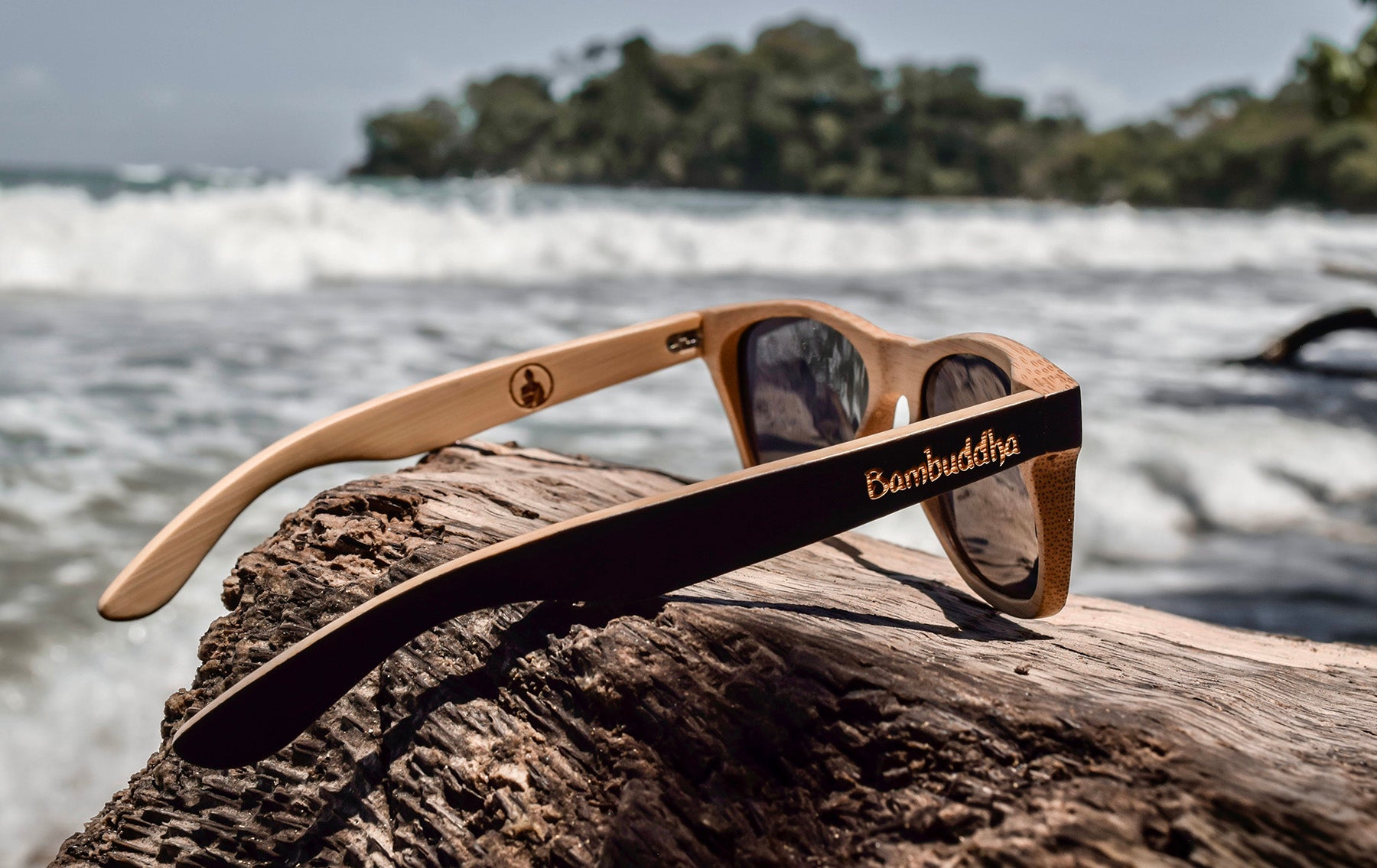 Catching the Sustainable Optical Wave > Bambuddha