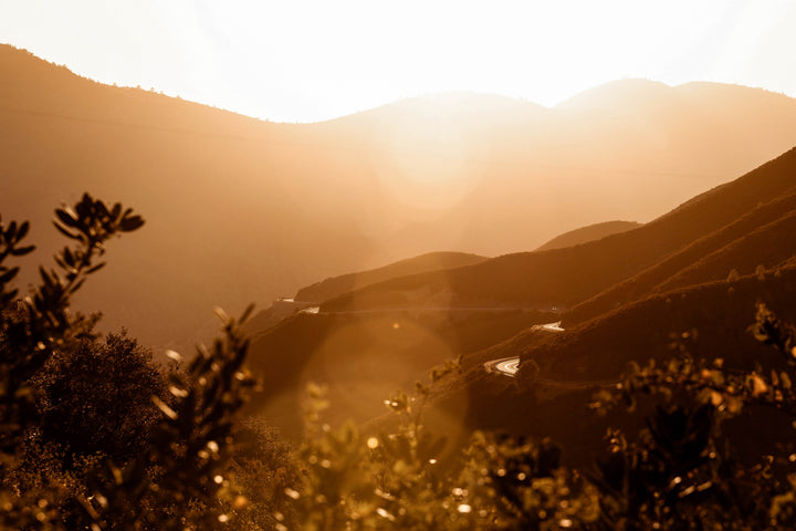 Natural Light Therapy for Mental Clarity & Nervous System Regulation