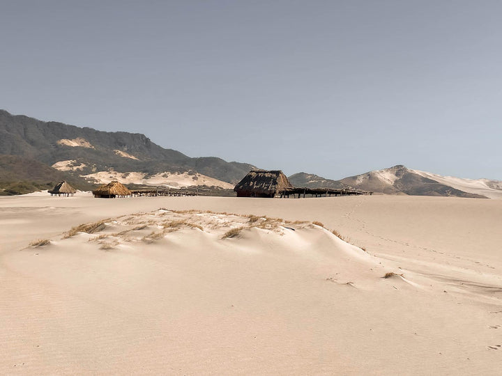 Embracing Sustainability in Travel: Essentials for Eco-Friendly Adventures