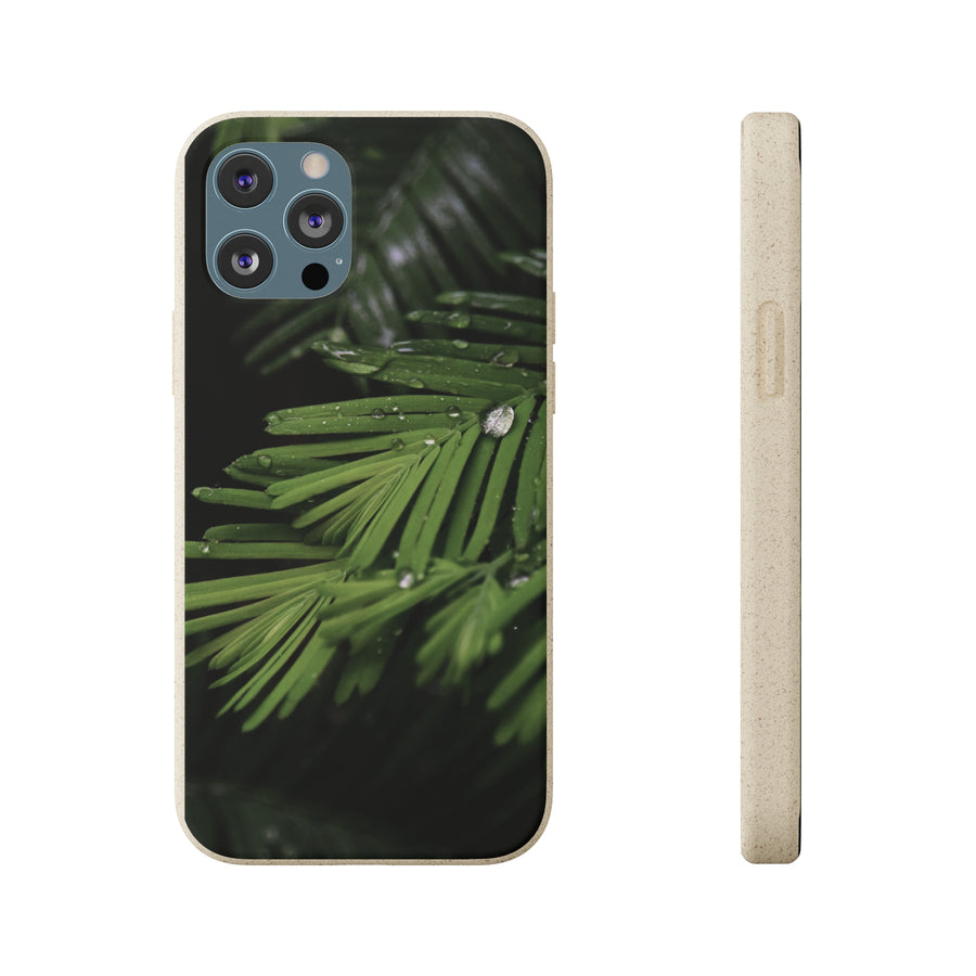 Fern Drops | Bamboo Biodegradable Cases (iPhone 11, 12, 13) Sustainable Phone Case Ocean Phone Case Eco-Friendly Plant Case