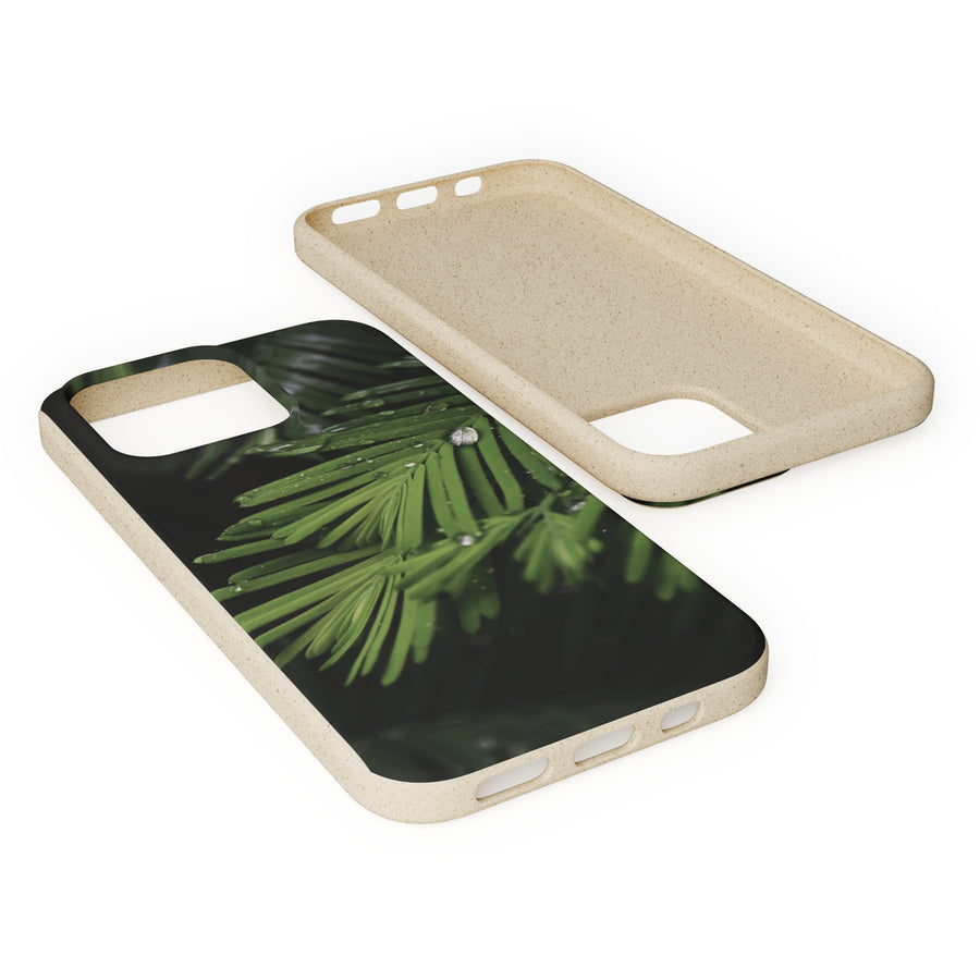 Fern Drops | Bamboo Biodegradable Cases (iPhone 11, 12, 13) Sustainable Phone Case Ocean Phone Case Eco-Friendly Plant Case