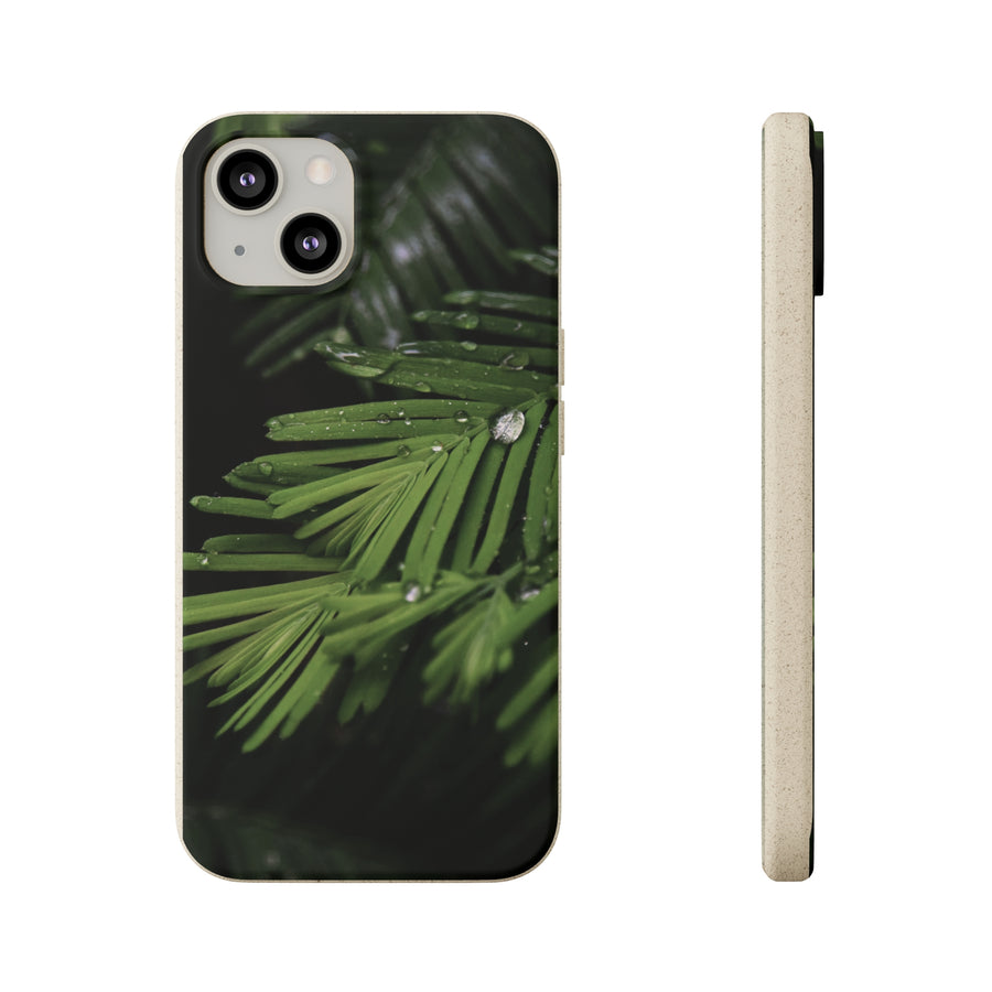 Fern Drops | Bamboo Biodegradable Cases (iPhone 11, 12, 13) Sustainable Ocean Phone Case Eco-Friendly Plant