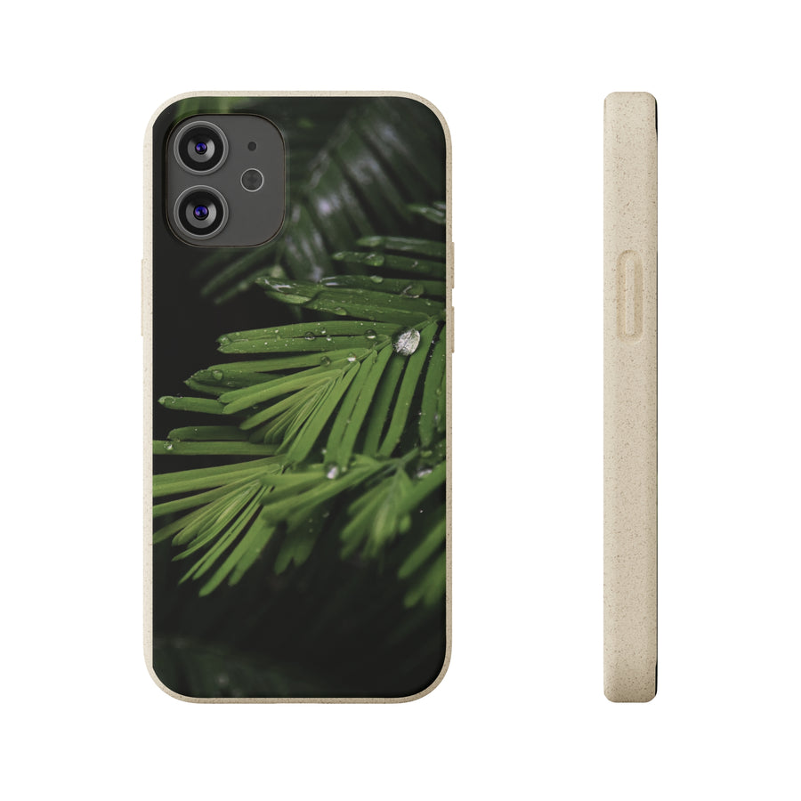 Fern Drops | Bamboo Biodegradable Cases (iPhone 11, 12, 13) Sustainable Phone Case Ocean Phone Case Eco-Friendly Plant Case