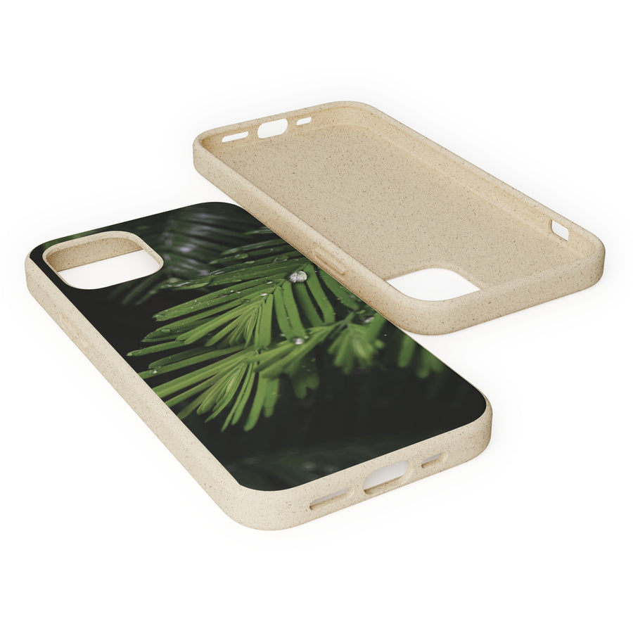 Fern Drops | Bamboo Biodegradable Cases (iPhone 11, 12, 13) Sustainable Phone Case Ocean Phone Case Eco-Friendly Plant Case