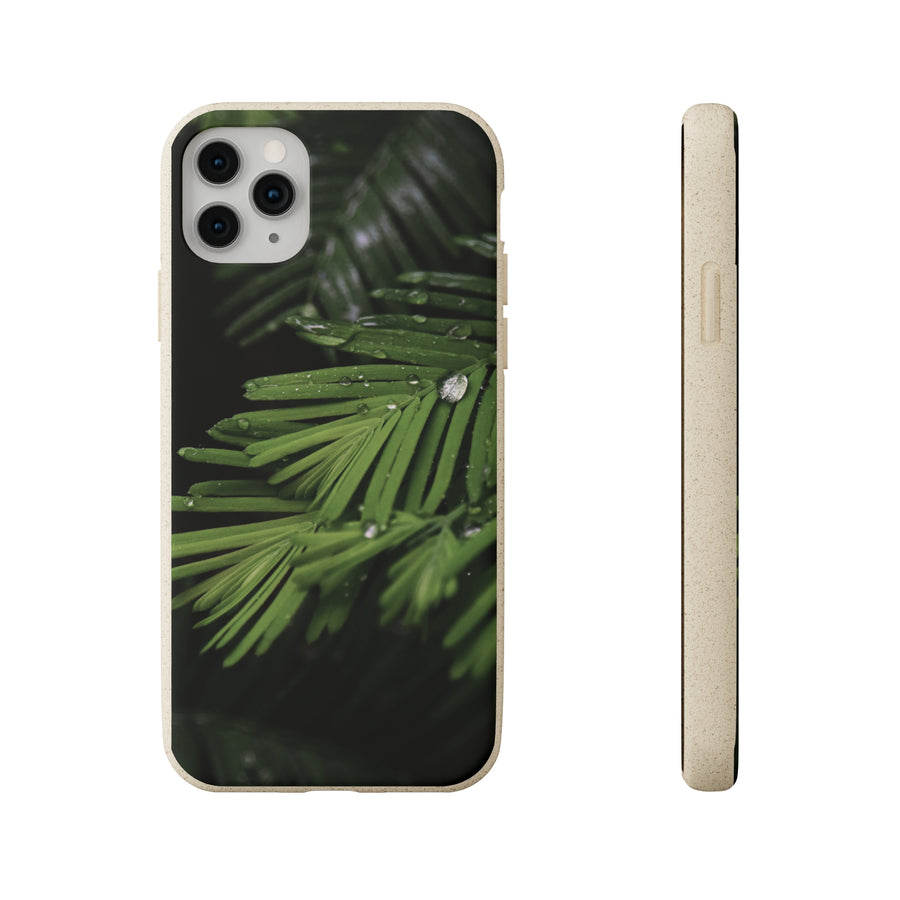 Fern Drops | Bamboo Biodegradable Cases (iPhone 11, 12, 13) Sustainable Phone Case Ocean Phone Case Eco-Friendly Plant Case