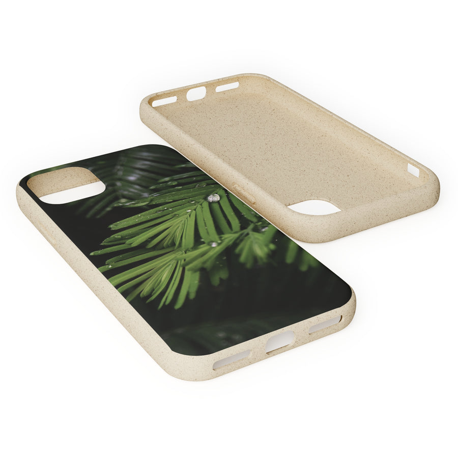 Fern Drops | Bamboo Biodegradable Cases (iPhone 11, 12, 13) Sustainable Phone Case Ocean Phone Case Eco-Friendly Plant Case