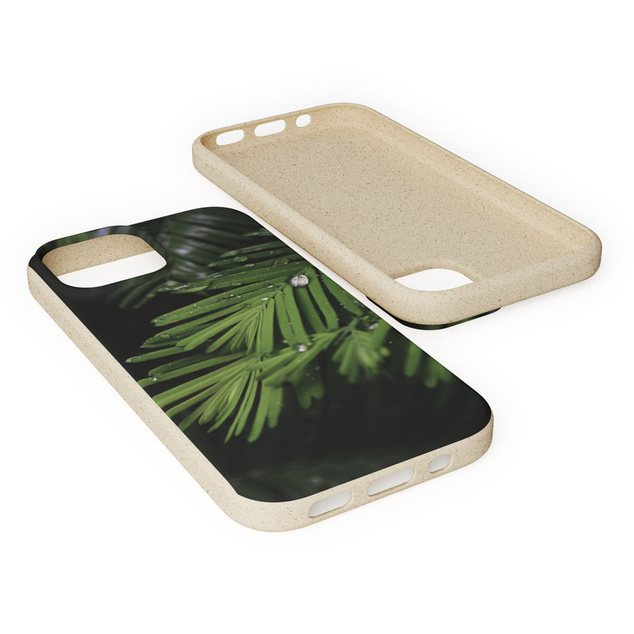 Fern Drops | Bamboo Biodegradable Cases (iPhone 11, 12, 13) Sustainable Phone Case Ocean Phone Case Eco-Friendly Plant Case