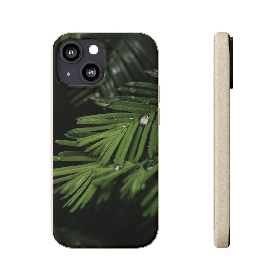 Fern Drops | Bamboo Biodegradable Cases (iPhone 11, 12, 13) Sustainable Ocean Phone Case Eco-Friendly Plant