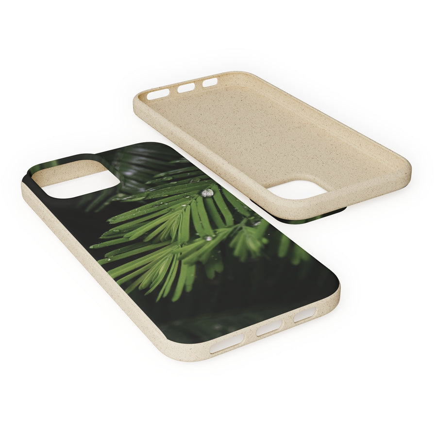 Fern Drops | Bamboo Biodegradable Cases (iPhone 11, 12, 13) Sustainable Phone Case Ocean Phone Case Eco-Friendly Plant Case