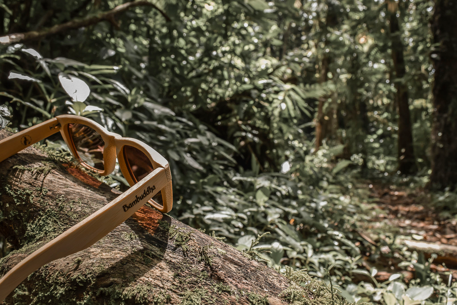 Bamboo Sunglasses Polarized 400 UV Lenses Woodsy Dark Summer