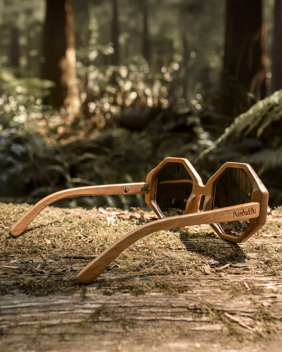 Honeycombs | Polarized Bamboo Sunglasses