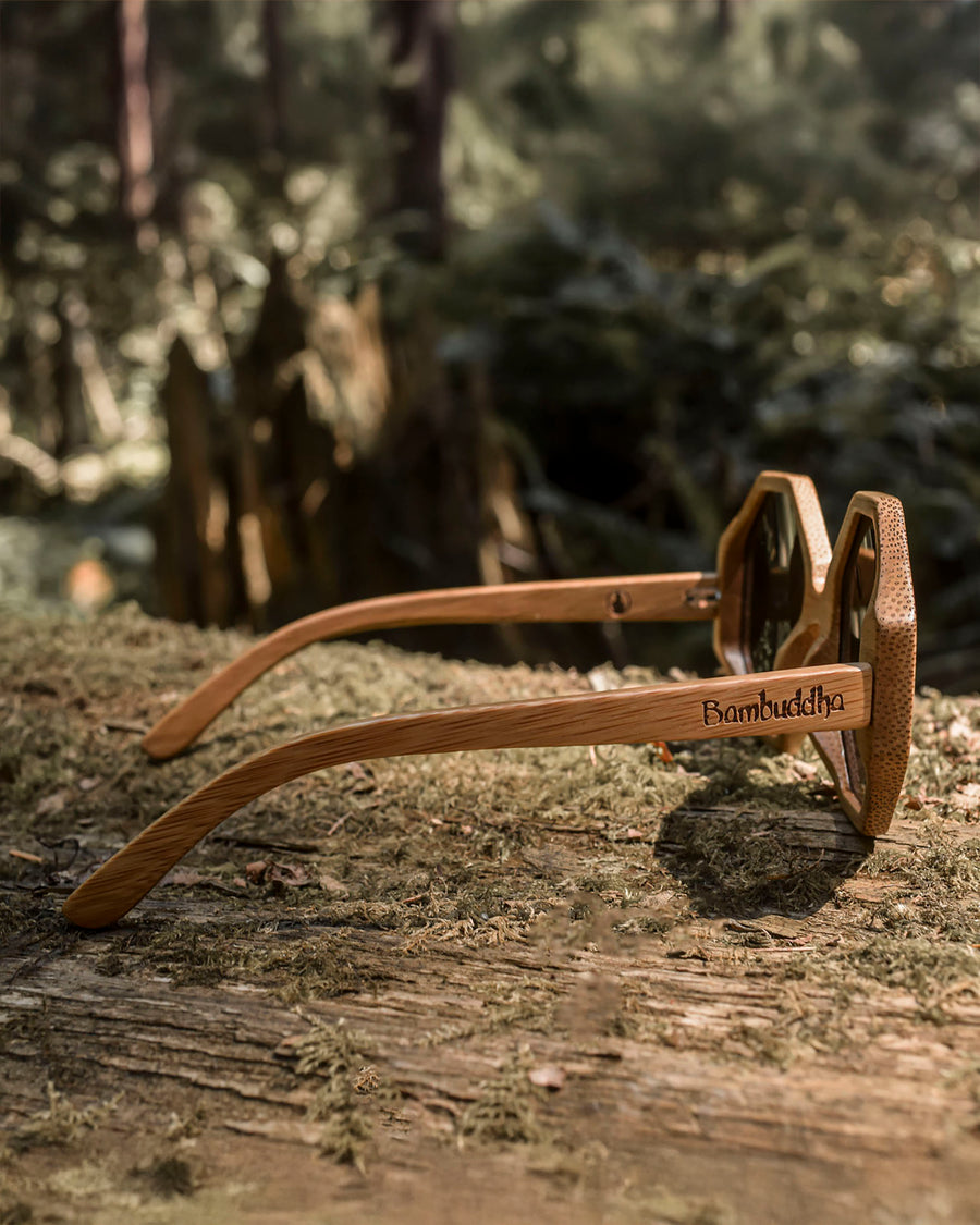 Honeycombs | Polarized Bamboo Sunglasses