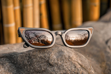 In Retrospect | Polarized Bamboo Sunglasses by Bambuddha