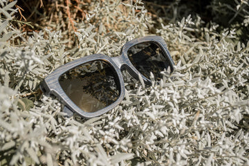 Jay Bird | Polarized Bamboo Sunglasses by Bambuddha