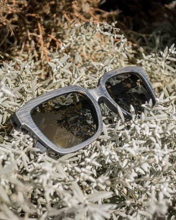 Jay Bird | Polarized Bamboo Sunglasses