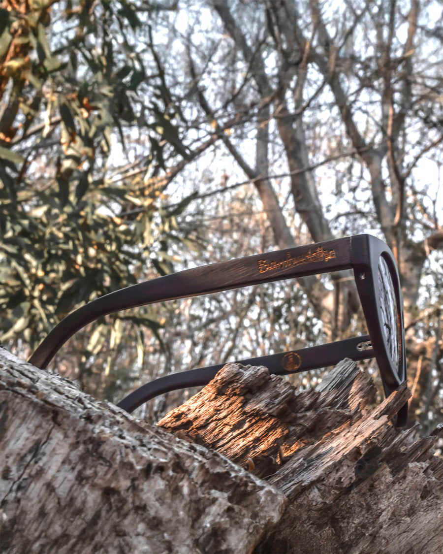 Owl Prowl | Polarized Bamboo Sunglasses