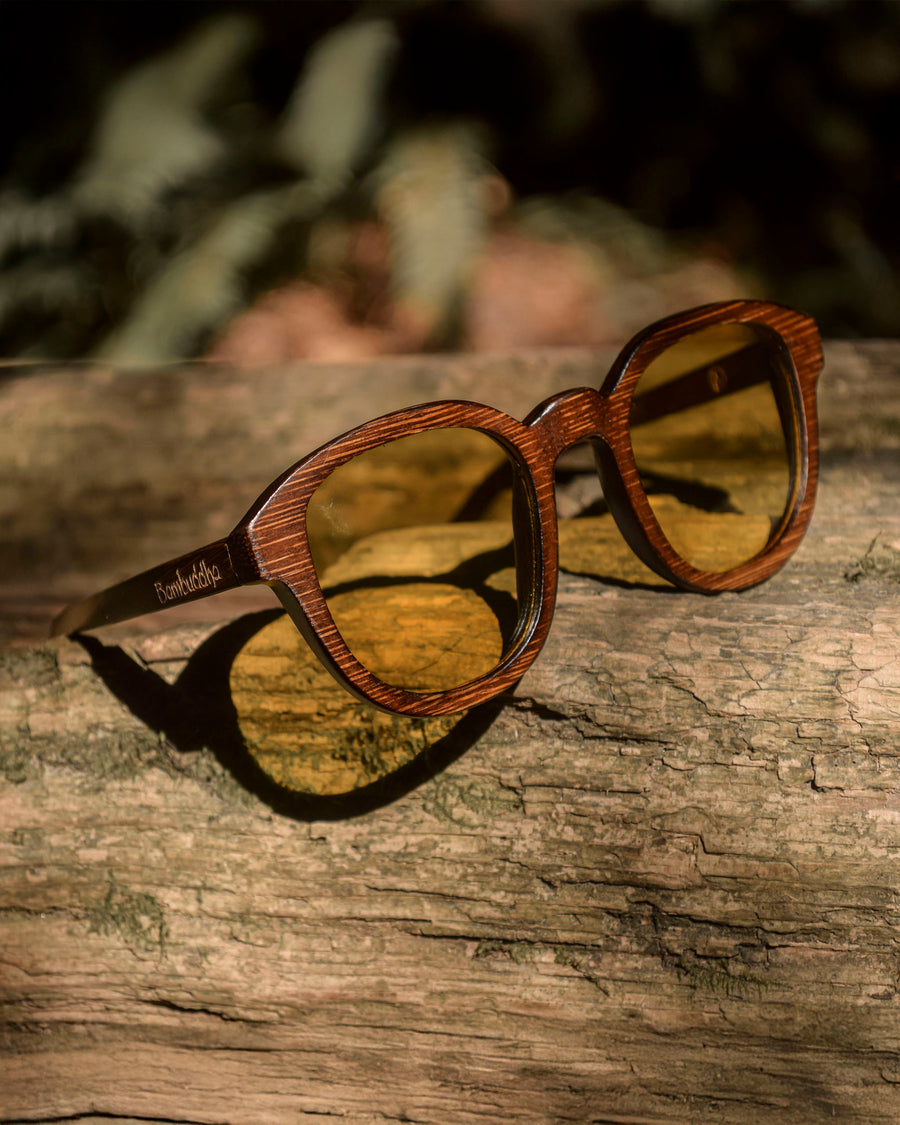 Screen Bee (Rx) | Polarized Bamboo Sunglasses