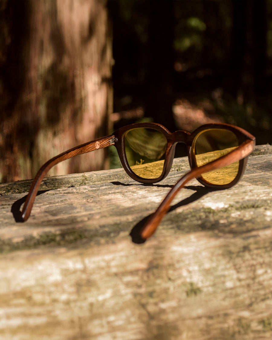 Screen Bee (Rx) | Polarized Bamboo Sunglasses
