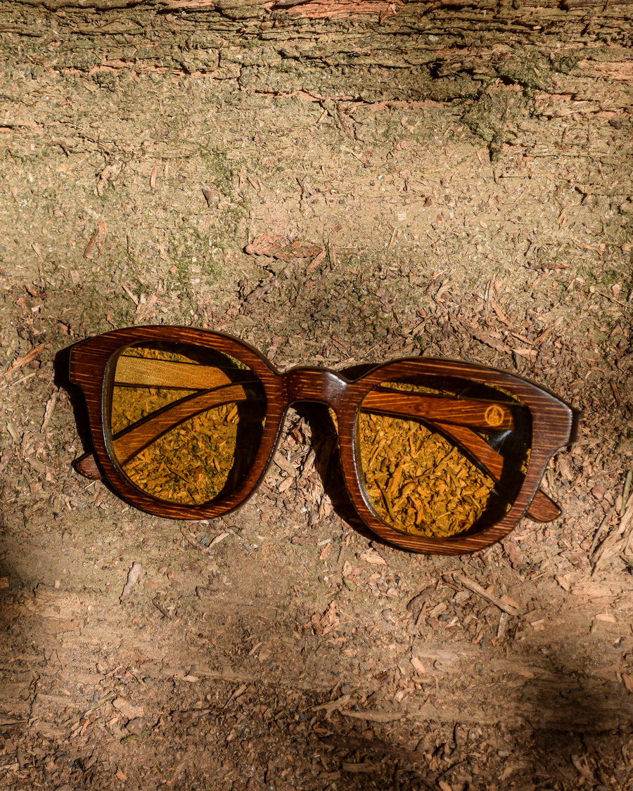 Screen Bee (Rx) | Polarized Bamboo Sunglasses