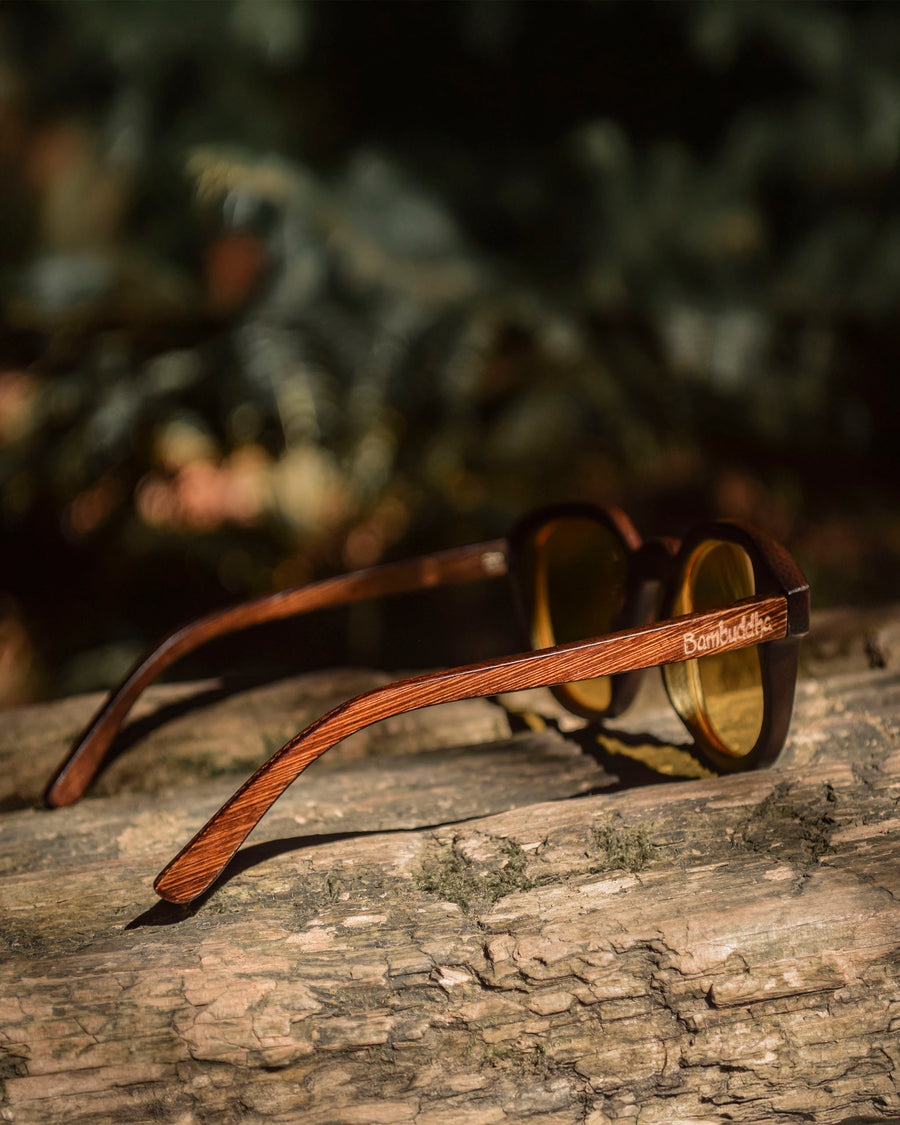 Screen Bee (Rx) | Polarized Bamboo Sunglasses