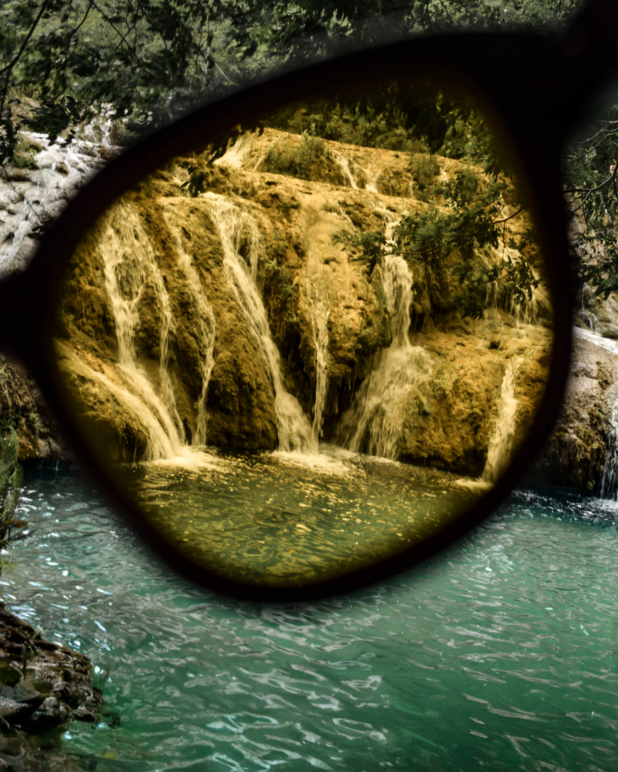 Screen Bee (Rx) | Polarized Bamboo Sunglasses