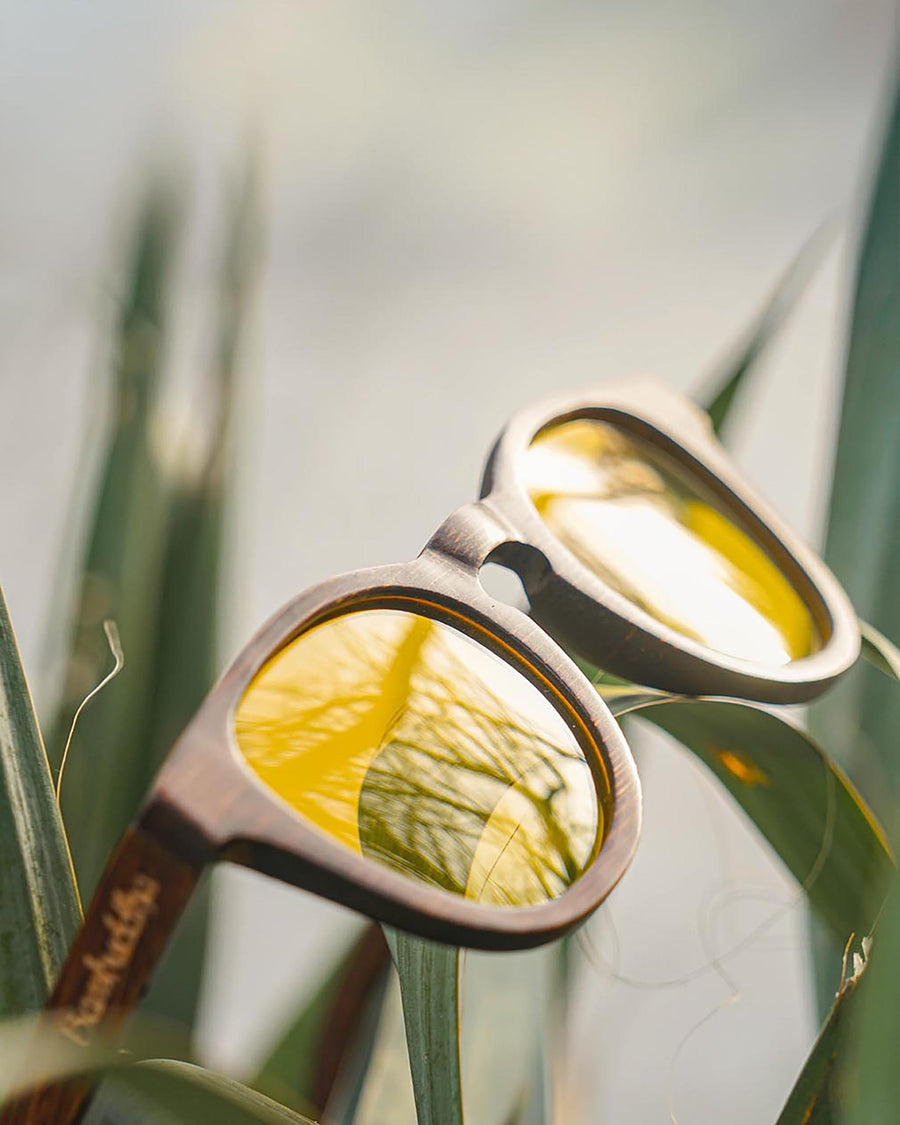 Screen Bee (Rx) | Polarized Bamboo Sunglasses
