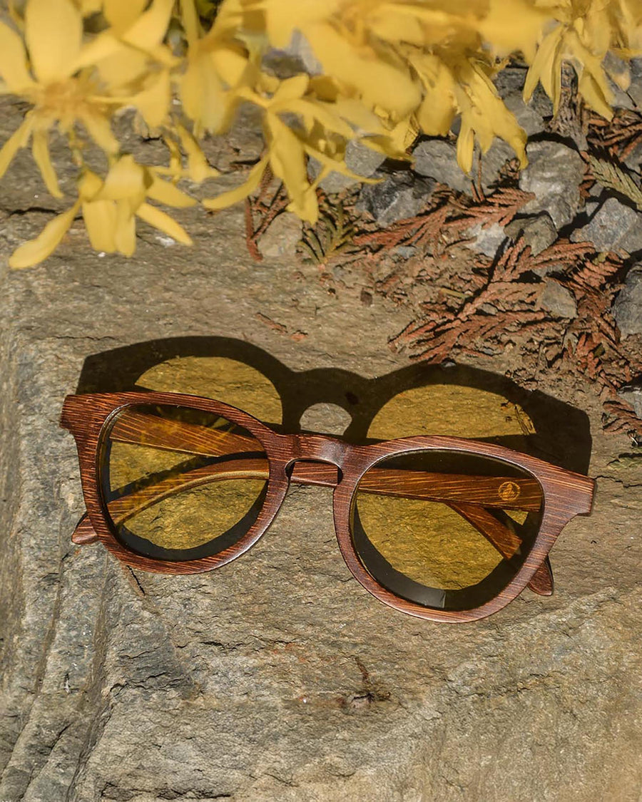 Screen Bee (Rx) | Polarized Bamboo Sunglasses