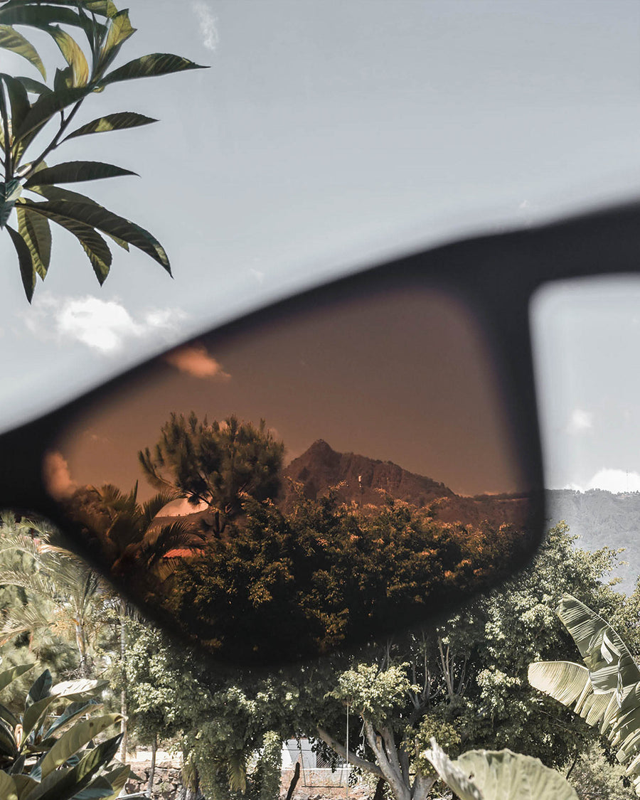 The Sir | Polarized Bamboo Sunglasses