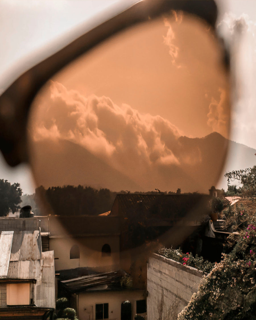 Zen Masters | Polarized Bamboo Sunglasses