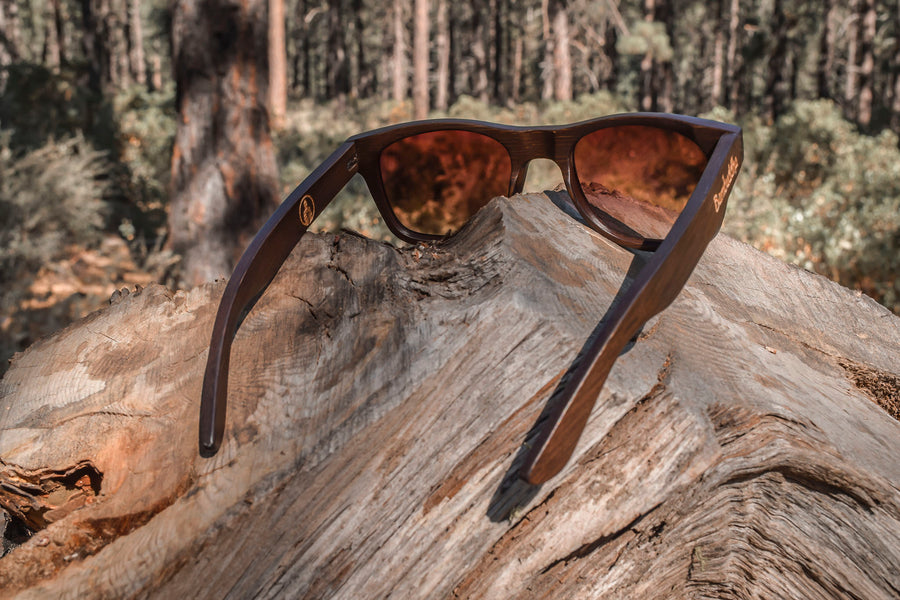 Polarized Bamboo Sunglasses Woodies